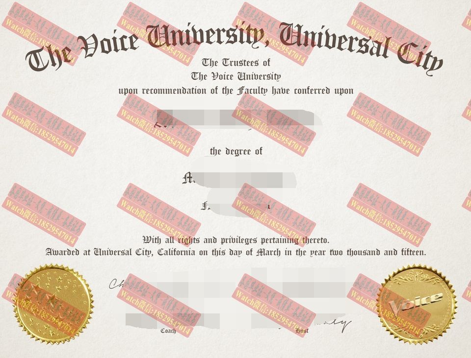 原版环球城之声大学文凭学位
